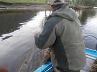 Проведён совместный рейд на Телецком озере, обнаружены и уничтожены рыболовные сети