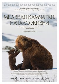 С 11 по 17 октября смотрите в кинотеатрах России документальный фильм «Медведи Камчатки. Начало жизни»