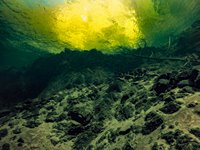 Что можно увидеть под водой в разных местах на Золотом озере. Мыс Айран