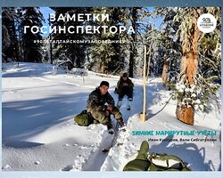 Заметки госинспектора. Зимние маршрутные учёты