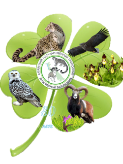 Creative Works Competition “Work. Creation. Joy” 