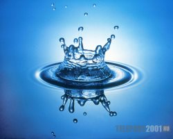 The Guardian of Life