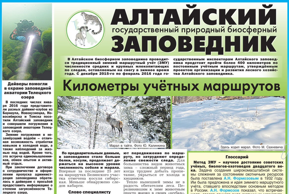Алтайский государственный природный биосферный заповедник презентация