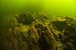 Подводный мир Телецкого озера. 