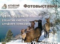 В Правительстве Республики Алтай ко Дню эколога открылась новая фотовыставка