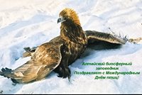 Алтайский биосферный заповедник поздравляет с Международным днём птиц!