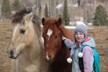 Кира Князева и её лошадки