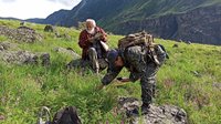 В Алтайском заповеднике проведены работы по уточнению списка редкой и адвентивной флоры