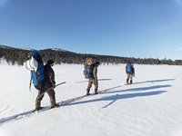 Почти четыреста километров в морозы на лыжах: в Алтайском заповеднике проходят зимние полевые работы