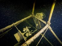 Необычную находку нашли дайверы в глубине Телецкого озера