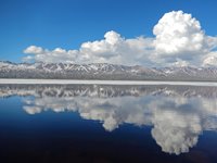 Нерест хариуса на высокогорном озере Джулукуль впервые за много лет прошёл спокойно