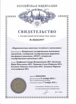 Сотрудниками научного отдела Алтайского заповедника создана база данных «Парнокопытные животные Алтайского заповедника»