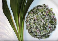 Алтайская народная кухня (Весна. Колба.)