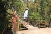 Информация о размере оплаты разрешённых к посещению мест в Алтайском заповеднике