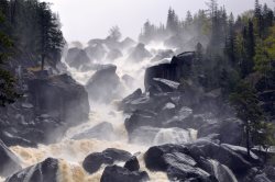 Материалы об Алтайском заповеднике опубликованы в электронном журнале "Заповедные острова"