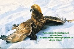 1 апреля - Международный день птиц