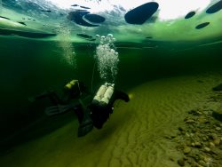 В ожидании весны