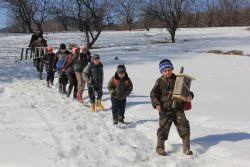 Заповедный Птичий микрорайон