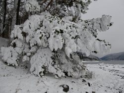 Жизнь заповедного кордона. Зимние причуды Телецкого озера