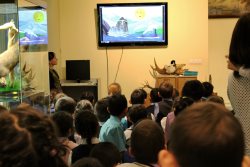 «Золотые горы Алтая»