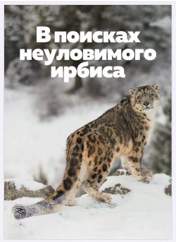 "В поисках неуловимого ирбиса"