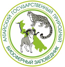 Обновление на сайте. Новое в разделе Публикации
