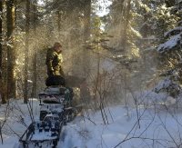 "Первопроходцы" заповедной тайги.