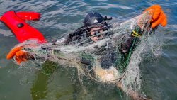 Телецкое без сетей - 2023