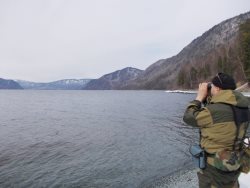 Лёд тронулся…