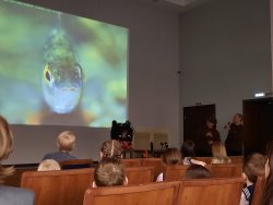 Встреча с «Зазеркальем» заповедного озера