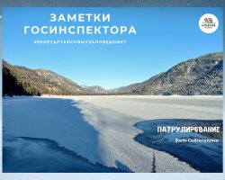 Заметки госинспектора. Патрулирование