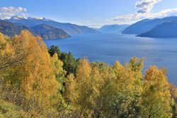 Поздравляем с Днём работников леса!