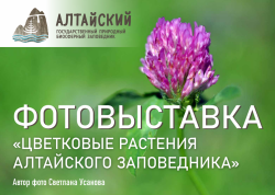 Новая фотовыставка Алтайского заповедника - в здании Правительства Республики Алтай