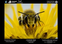 Конкурс «Живая природа Алтая - 2021»: до конца приема работ осталось 10 дней