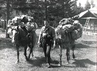 45 лет в заповеднике!