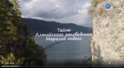 Тайны Алтайского заповедника. Маралий кодекс