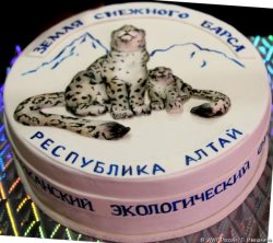 Пятый юбилейный фестиваль «Земля снежного барса» прошел на Алтае