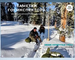 Заметки госинспектора. Зимние маршрутные учёты