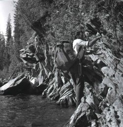 Нехожеными тропами (записки лесника).