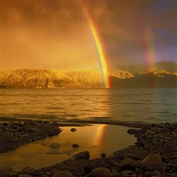 «Живая природа Алтая» - изменения за 10 лет