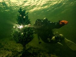 Как в Алтайском заповеднике встречают Новый год в глубинах Телецкого озера