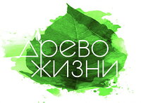 В Республике Алтай подведены итоги регионального этапа фестиваля «Древо жизни» 