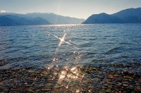 March 14 – The International Day of Action for Rivers, Water and Life 