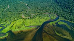 Камгинский залив. Неприкосновенный покой