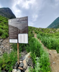 Внимание! Важная информация о посещении Алтайского заповедника