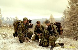 ИЗ ПЛЕМЕНИ СНЕЖНОГО БАРСА
