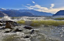 Фенологические заметки. Рождение нового солнечного года
