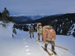 Зимний учет животных в местах концентрации копытных.