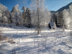 Итоги первого месяца нового фенологического года