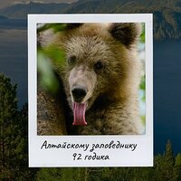 Алтайскому заповеднику – 92!